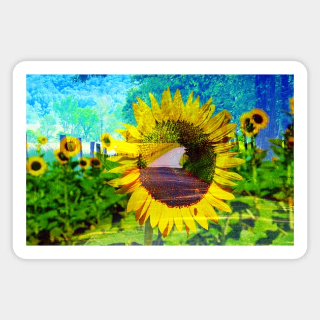 Roadside flowers Sticker by dltphoto